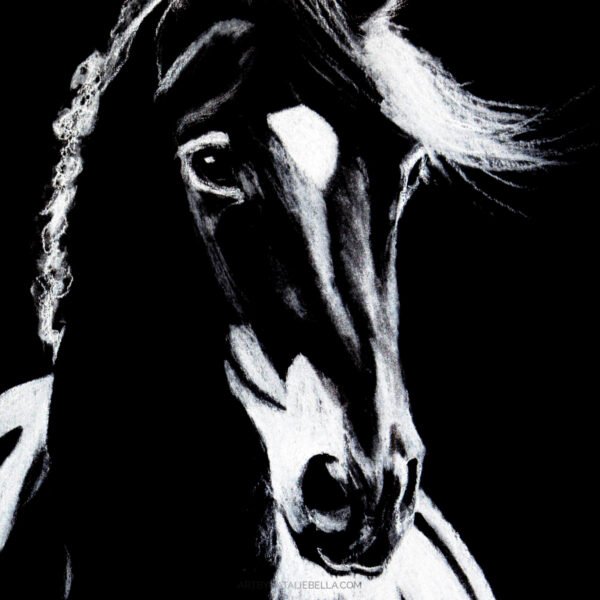 Pure Beauty | Dramatic Black and White Horse Artwork - Float Frame Gallery Canvas