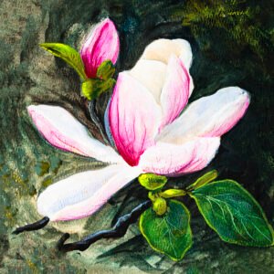 Magnolia Flower Wall Art Print, Botanical Fine Art Print, Pink Floral Art, Nature Illustration, Home Decor, Textured Watercolor Matte Paper