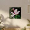 Magnolia Flower Wall Art Print, Botanical Fine Art Print, Pink Floral Art, Nature Illustration, Home Decor, Textured Watercolor Matte Paper