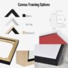 Framing Options for float frame canvas prints