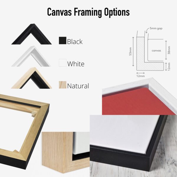 Framing Options for float frame canvas prints